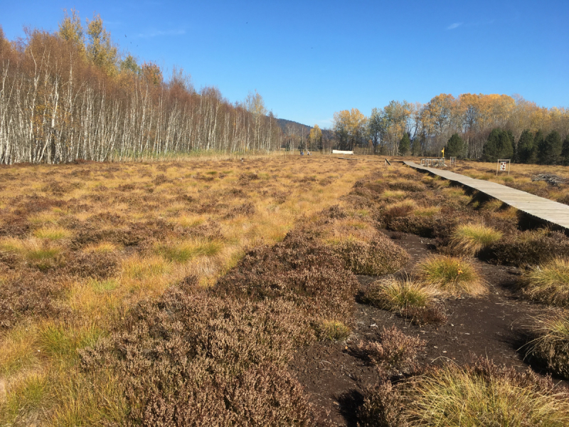 Невшатель. Город и кантон.