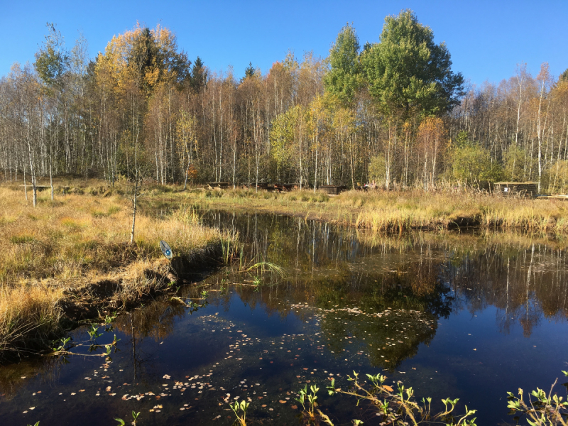 Невшатель. Город и кантон.