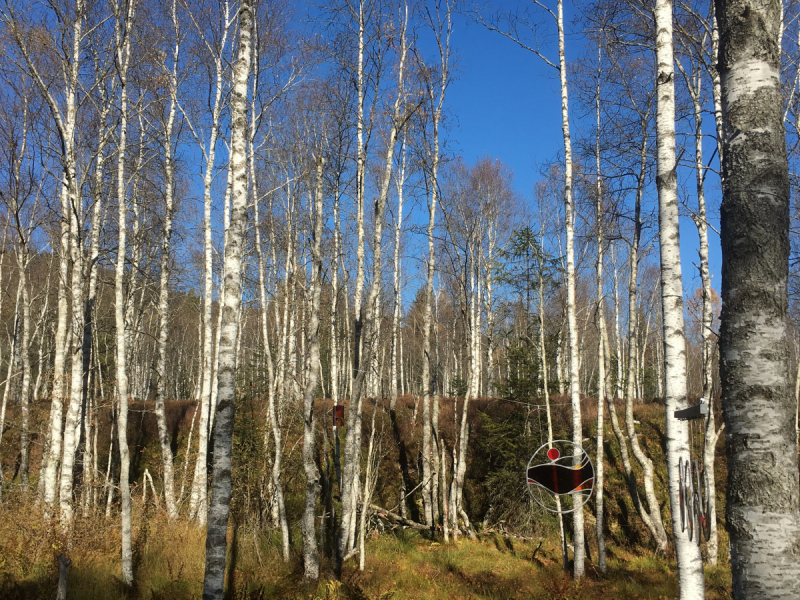 Невшатель. Город и кантон.