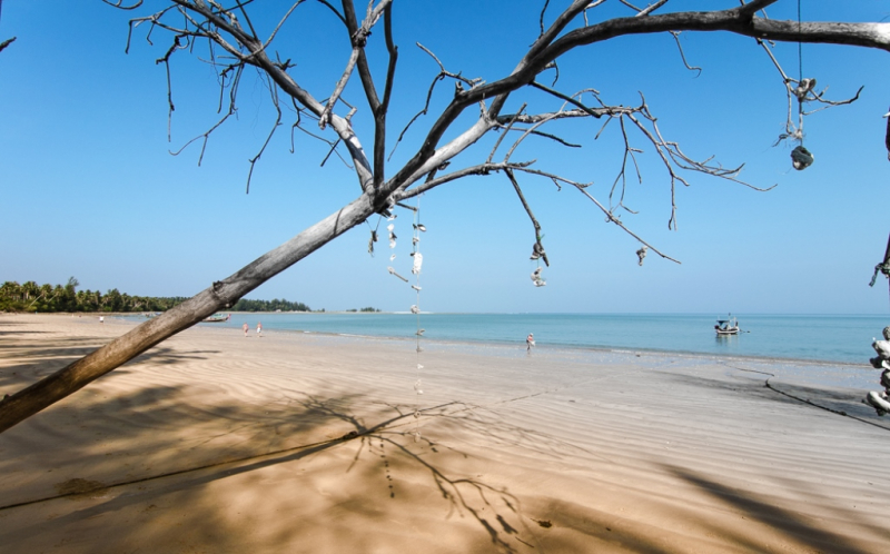 Khao lak 2019: Coconut beach и Bang Niang Beach отзыв