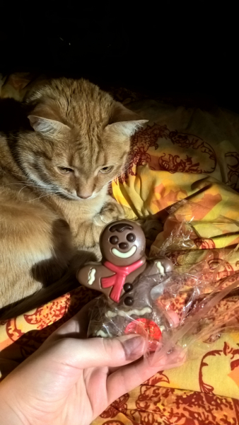 Кошки в нашей жизни. Кошки и все, что с ними связано.