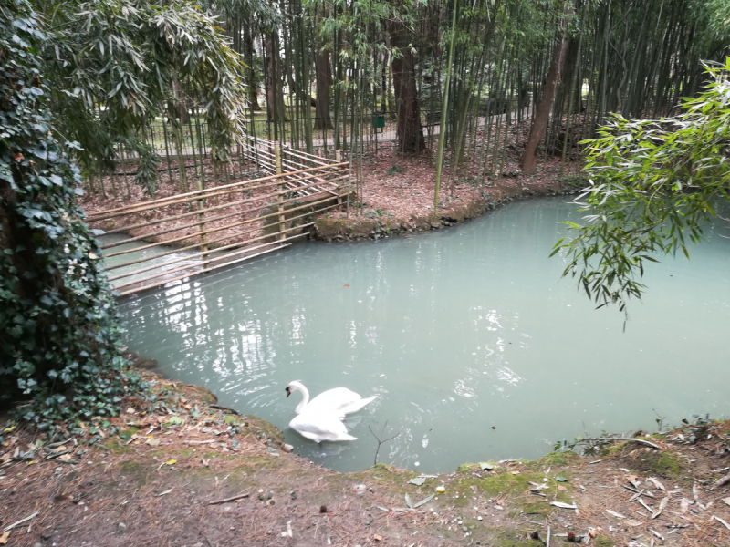 В одиночестве в Сочи. Март 2019