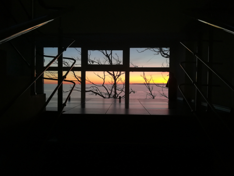 В одиночестве в Сочи. Март 2019