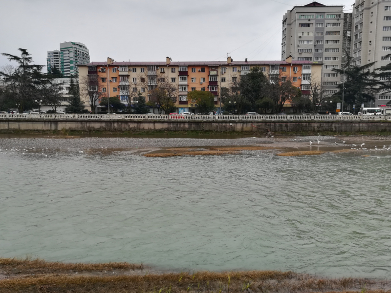 В одиночестве в Сочи. Март 2019