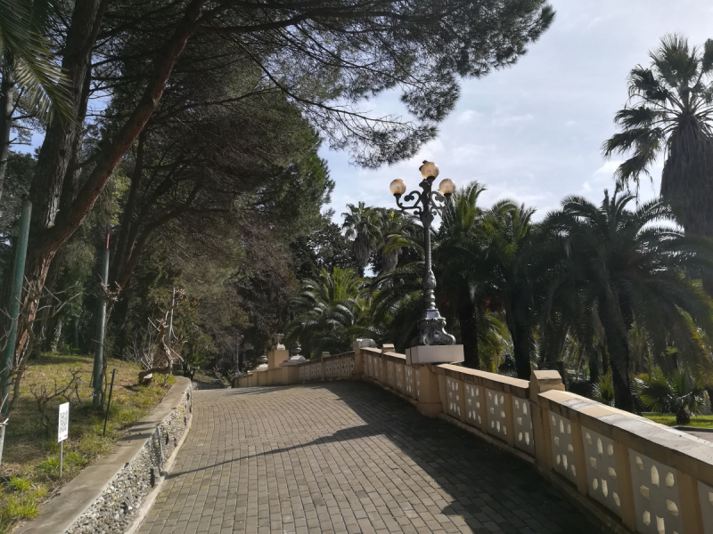 В одиночестве в Сочи. Март 2019