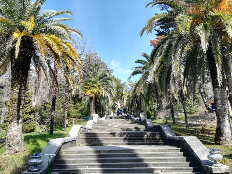 В одиночестве в Сочи. Март 2019