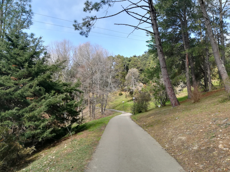 В одиночестве в Сочи. Март 2019
