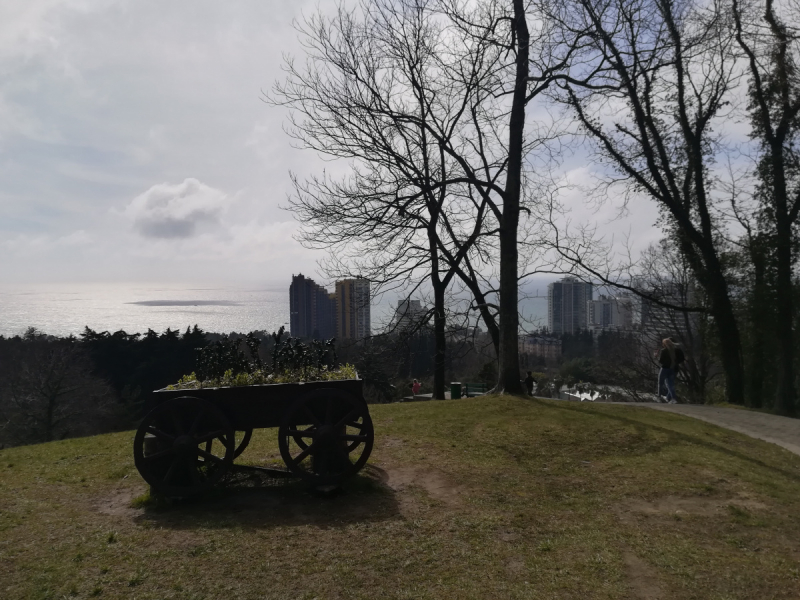 В одиночестве в Сочи. Март 2019