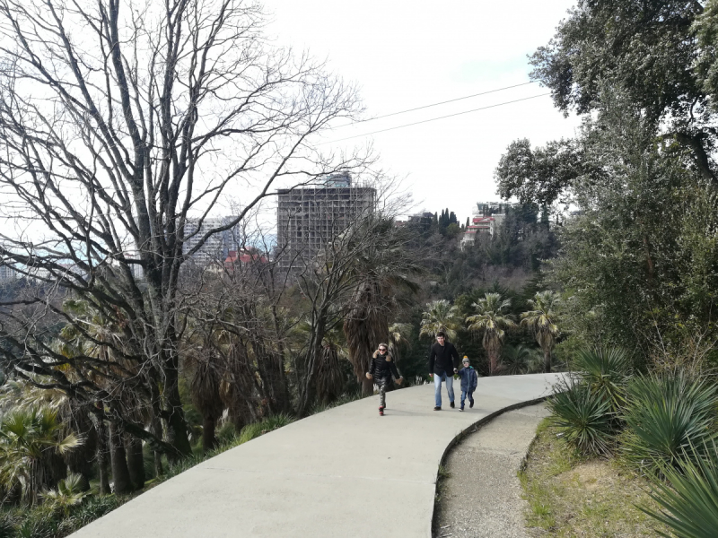 В одиночестве в Сочи. Март 2019