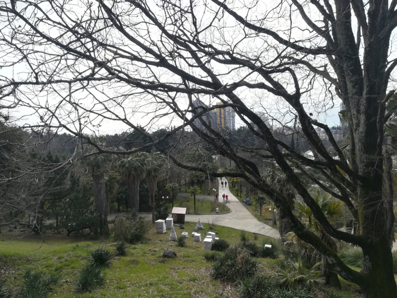 В одиночестве в Сочи. Март 2019