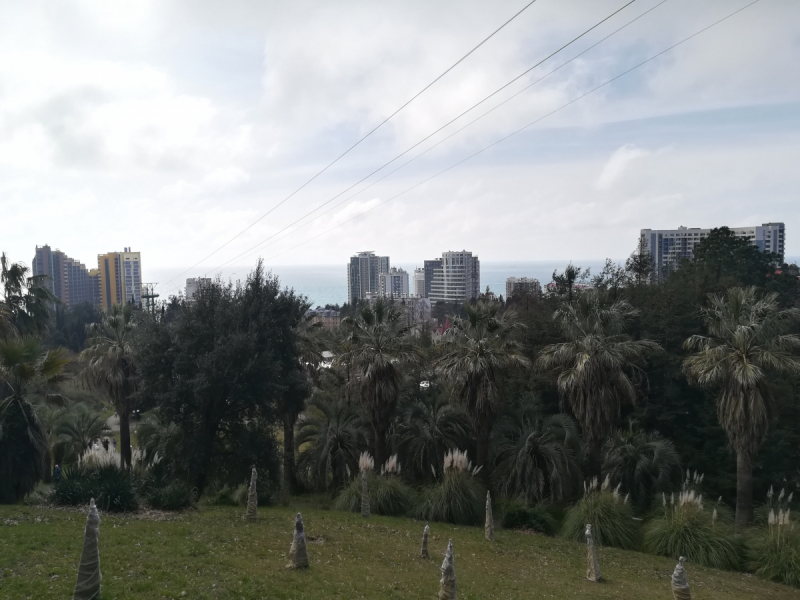 В одиночестве в Сочи. Март 2019