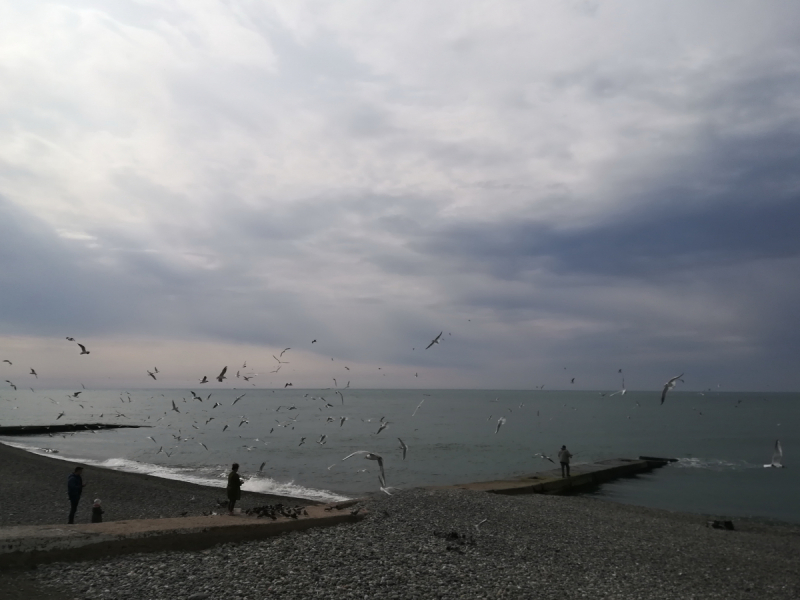 В одиночестве в Сочи. Март 2019