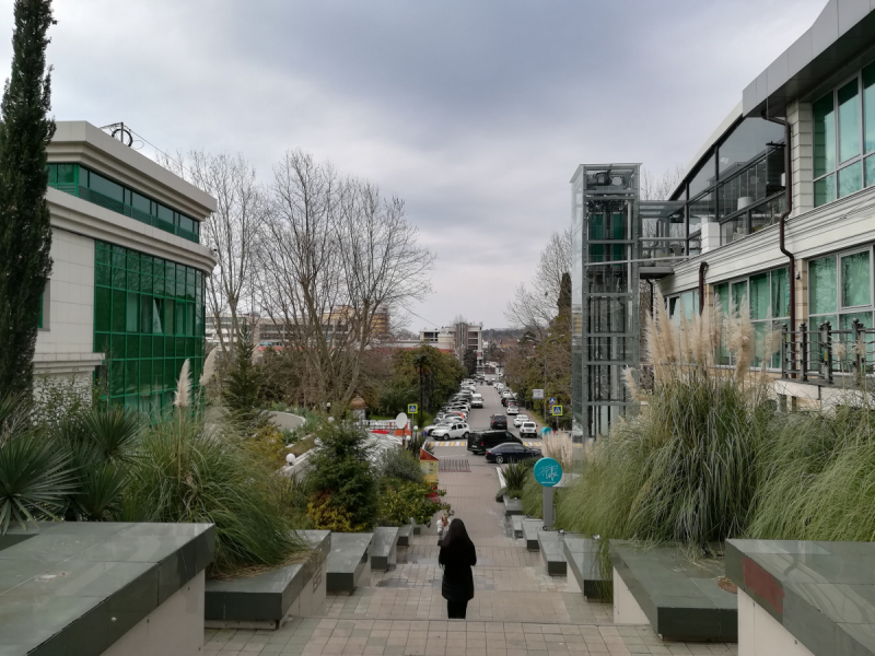 В одиночестве в Сочи. Март 2019