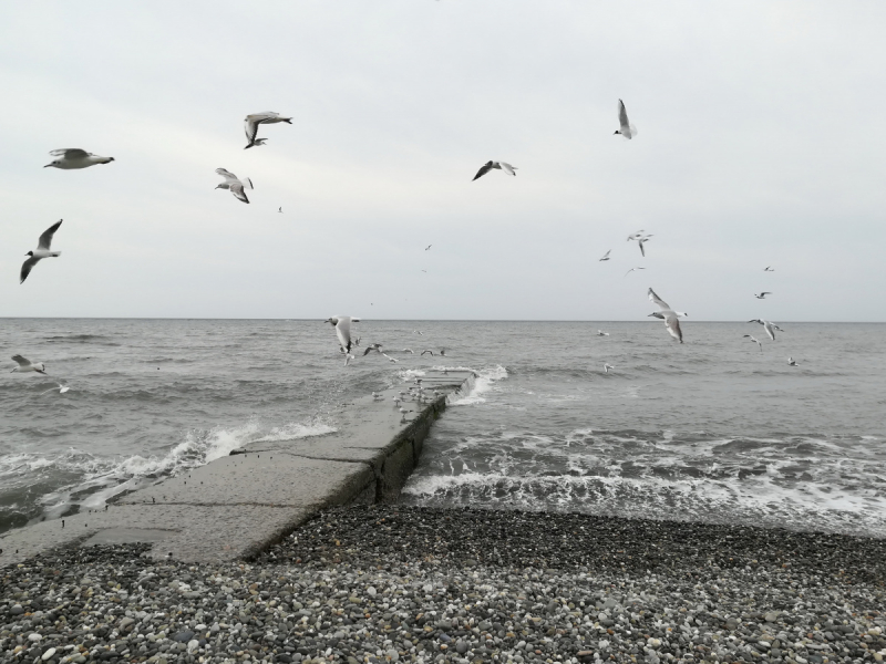 В одиночестве в Сочи. Март 2019