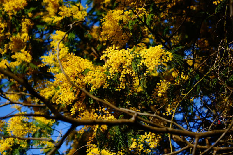 Куда еще в Абхазии можно проехать на неполноприводном автомобиле (обновления от сентября 2019 года).