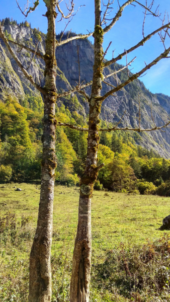 Осенняя Бавария