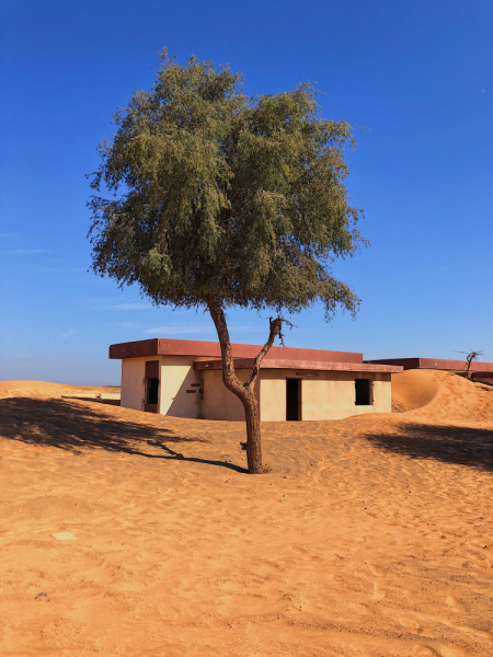 Дубай/Шарджа с 20 Марта по 13 Апреля