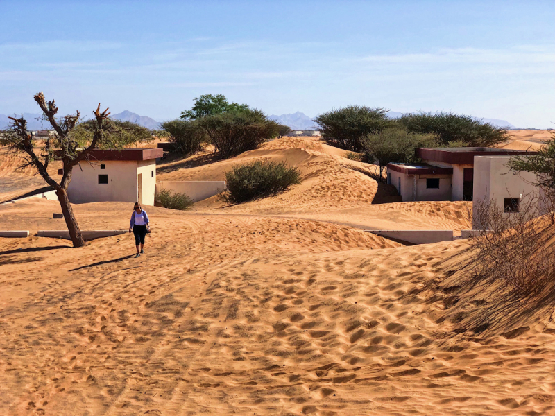 Дубай/Шарджа с 20 Марта по 13 Апреля