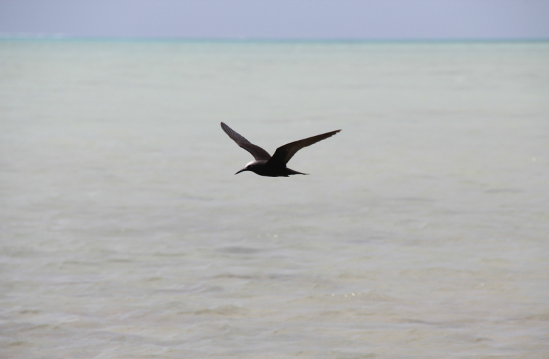 Cook Islands