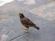 Пишу отчетик о Таиланде.