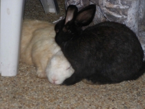 Пишу отчетик о Таиланде.