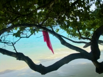 Similan Islands + Khao Lak+ Phi Phi' ноябрь 2011