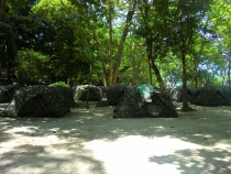 Similan Islands + Khao Lak+ Phi Phi' ноябрь 2011