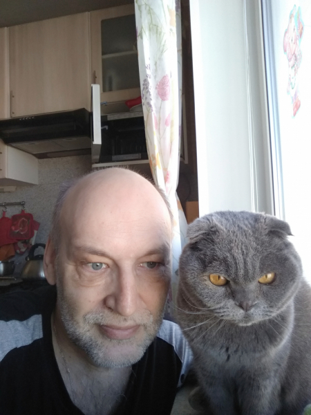 Кошки в нашей жизни. Кошки и все, что с ними связано.