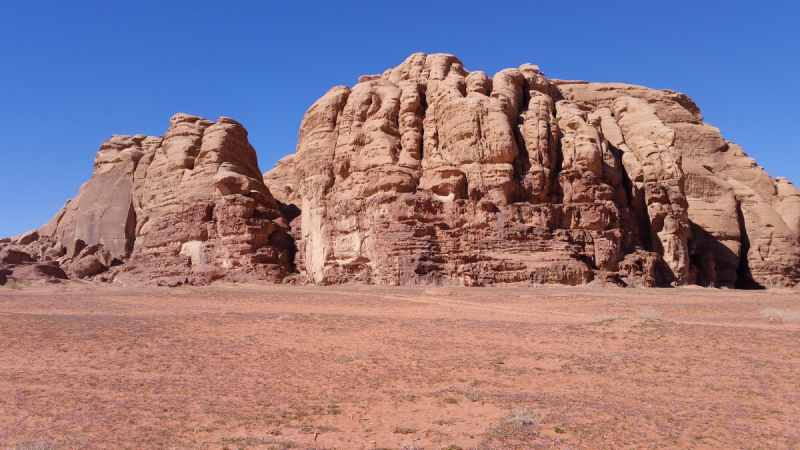 Aqaba→Wadi Rum→Petra→Aqaba, или Гиды идут лесом!