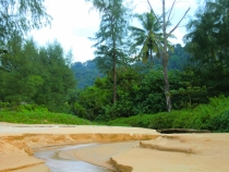 Similan Islands + Khao Lak+ Phi Phi' ноябрь 2011