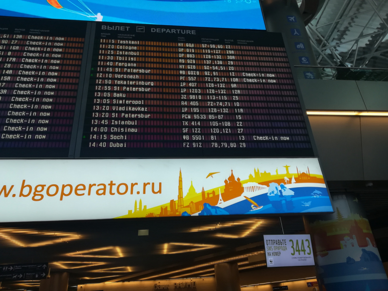 В одиночестве в Сочи. Март 2019