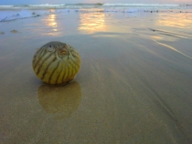 Similan Islands + Khao Lak+ Phi Phi' ноябрь 2011