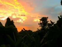 Similan Islands + Khao Lak+ Phi Phi' ноябрь 2011