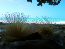 Similan Islands + Khao Lak+ Phi Phi' ноябрь 2011