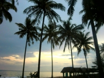 Similan Islands + Khao Lak+ Phi Phi' ноябрь 2011