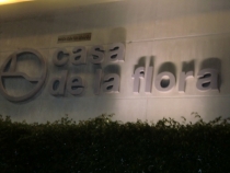 Similan Islands + Khao Lak+ Phi Phi' ноябрь 2011