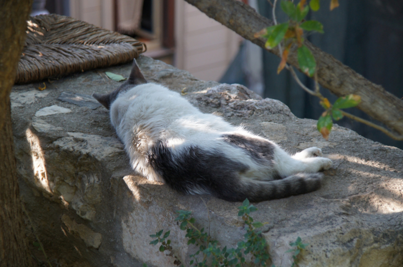 Афины, Пелопоннес, Санторини, Кос в сентябре 2018-го