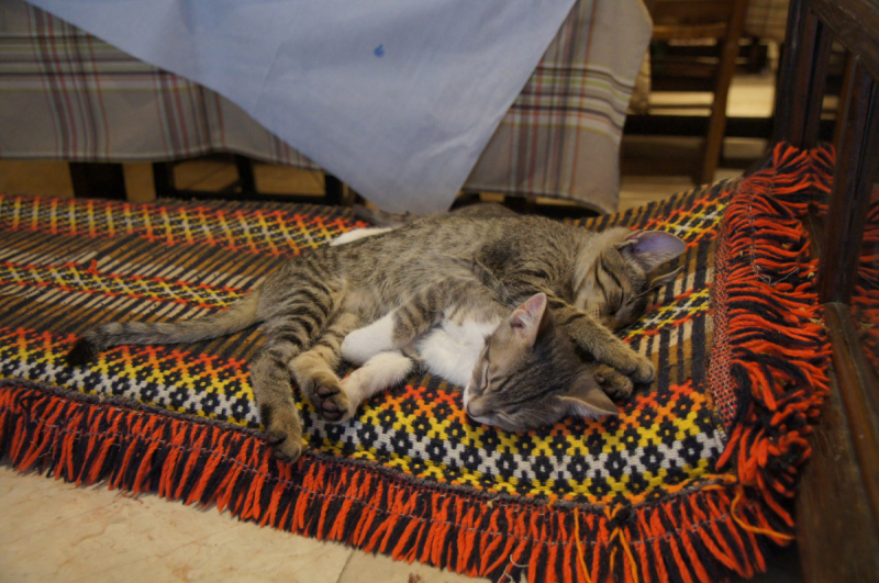 Афины, Пелопоннес, Санторини, Кос в сентябре 2018-го