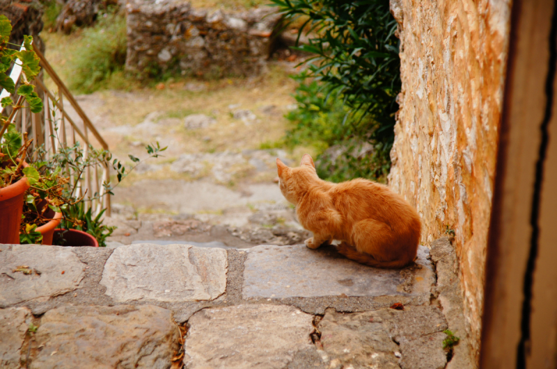 Афины, Пелопоннес, Санторини, Кос в сентябре 2018-го