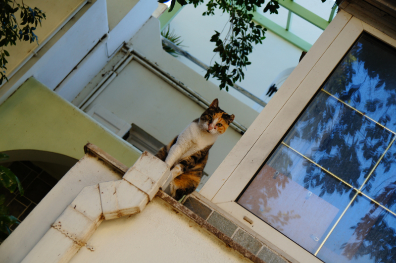 Афины, Пелопоннес, Санторини, Кос в сентябре 2018-го