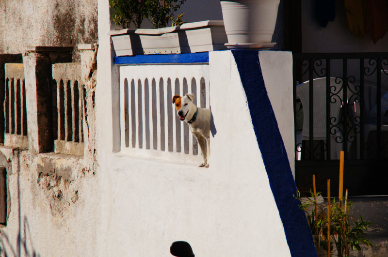 Афины, Пелопоннес, Санторини, Кос в сентябре 2018-го