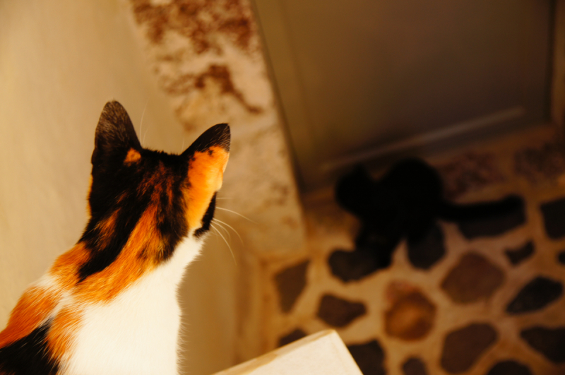 Афины, Пелопоннес, Санторини, Кос в сентябре 2018-го