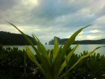 Similan Islands + Khao Lak+ Phi Phi' ноябрь 2011