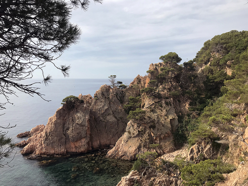 Пешком Blanes – Tossa de Mar – San Feliu de Guixolls – Platja d’Aro (GR-92), июнь 2018