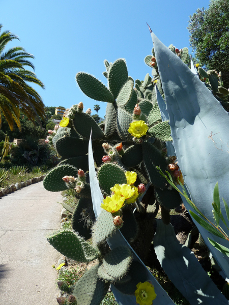 Пешком Blanes – Tossa de Mar – San Feliu de Guixolls – Platja d’Aro (GR-92), июнь 2018