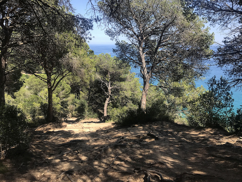 Пешком Blanes – Tossa de Mar – San Feliu de Guixolls – Platja d’Aro (GR-92), июнь 2018