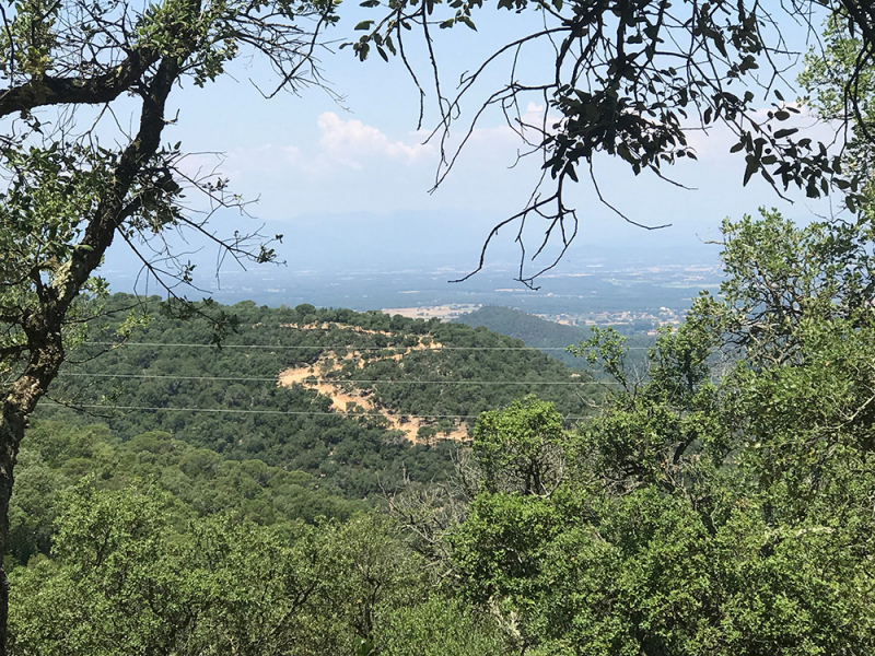 Пешком Blanes – Tossa de Mar – San Feliu de Guixolls – Platja d’Aro (GR-92), июнь 2018