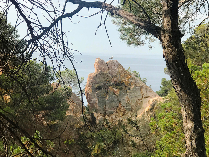 Пешком Blanes – Tossa de Mar – San Feliu de Guixolls – Platja d’Aro (GR-92), июнь 2018