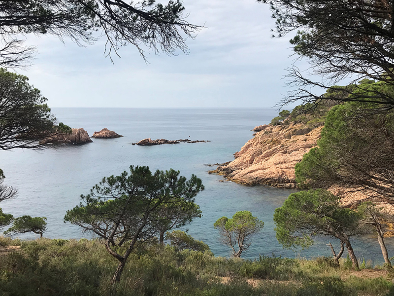 Пешком Blanes – Tossa de Mar – San Feliu de Guixolls – Platja d’Aro (GR-92), июнь 2018