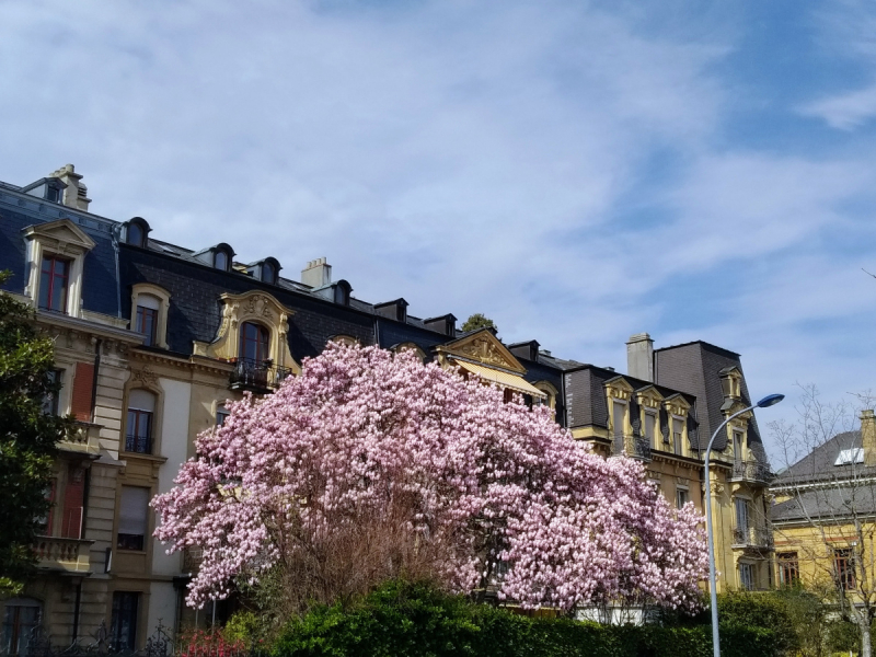 Невшатель. Город и кантон.